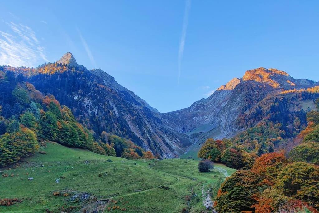 Logement 6 Pers Au Coeur Des Montagnes Pyreneennes Linge De Maison Et Papier Toilette Non Fournis Boutx Ngoại thất bức ảnh