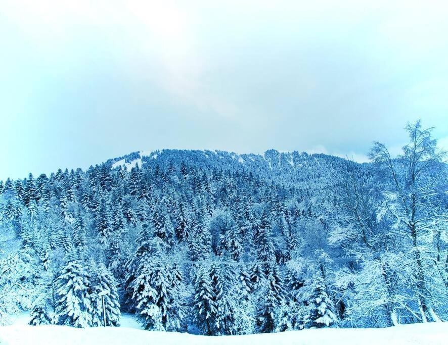 Logement 6 Pers Au Coeur Des Montagnes Pyreneennes Linge De Maison Et Papier Toilette Non Fournis Boutx Ngoại thất bức ảnh