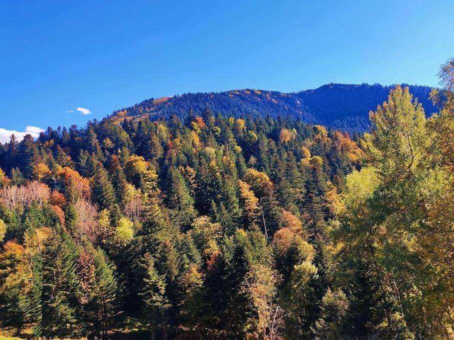 Logement 6 Pers Au Coeur Des Montagnes Pyreneennes Linge De Maison Et Papier Toilette Non Fournis Boutx Ngoại thất bức ảnh